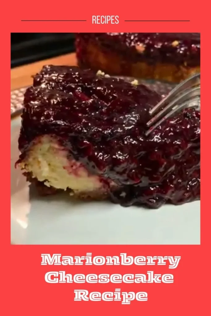 Delicious Marionberry Cheesecake