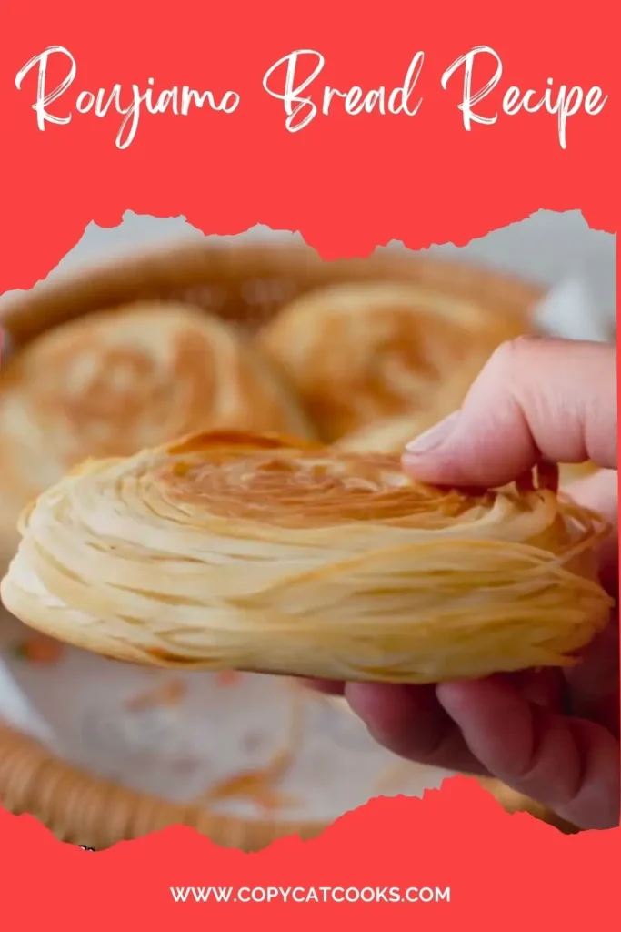 Delicious Roujiamo Bread