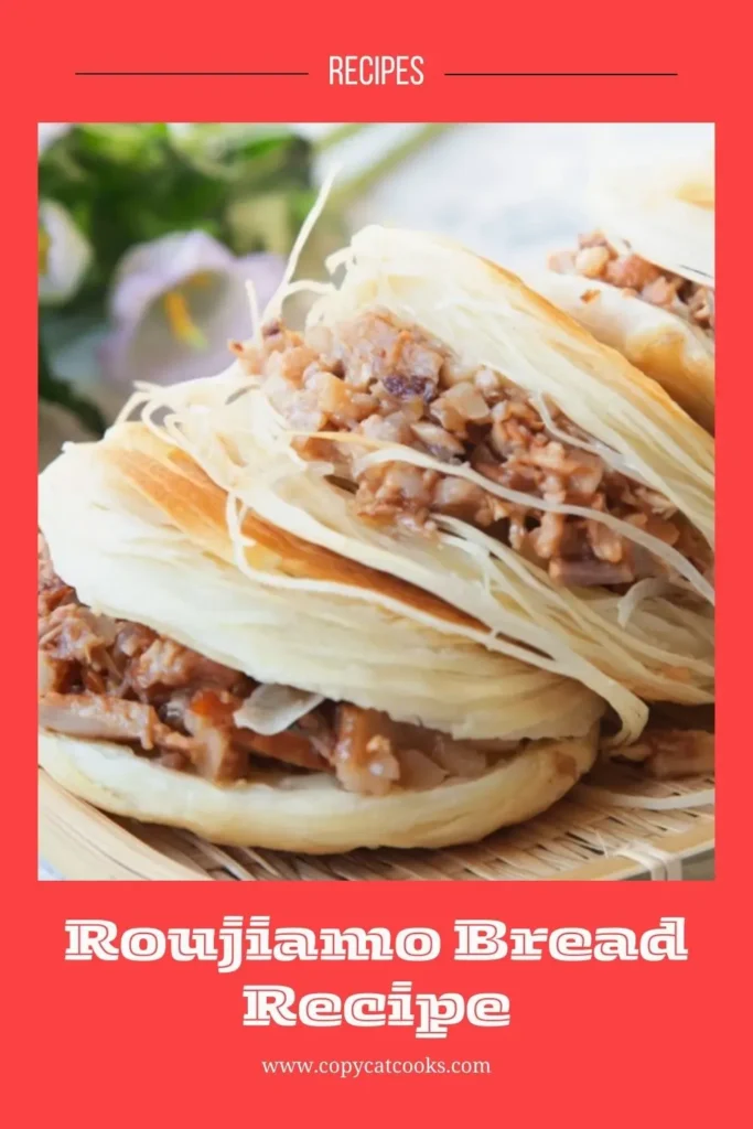 Enjoy this Roujiamo Bread