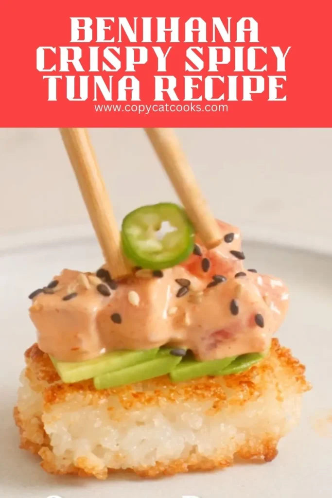 Benihana Crispy Spicy Tuna